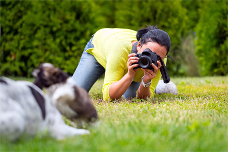 愛犬の写真を撮影するコツ３：普段とは違うアングルを意識する