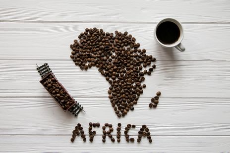 【アフリカ】酸味にこだわる方向けのコーヒー豆