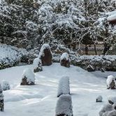 朱色や千歳緑、銀鼠色など、冬景色や正月飾りを感じる日本の冬の伝統色4選