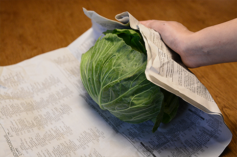 野菜の「保存方法」にまつわる常識