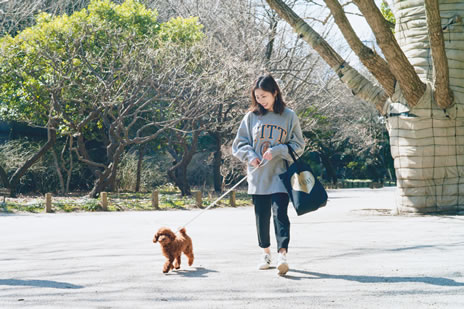 癒される 犬好きの天国 東京都内のおすすめ犬カフェ マナトピ