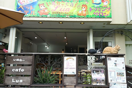 癒される 犬好きの天国 東京都内のおすすめ犬カフェ マナトピ