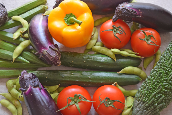 正しく知って夏バテ知らず！おいしい夏野菜の選び方と健康効果