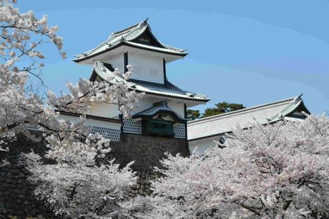 【石川県・金沢】桜の名所と茶屋街を散策